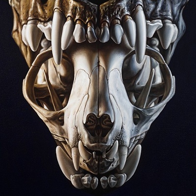 Gallery of finished paintings