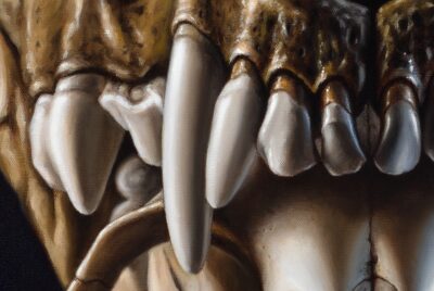 Detailed oil painting of a dog skull upper canine and molars, side view of tooth structure and realistic jaw shading on canvas.