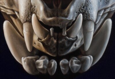 Detailed oil painting of dog and cat jaws, contrast between large dog fangs and small cat skull teeth on a dark background.