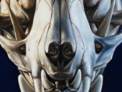 detail of oil sketch of nasal bone structure