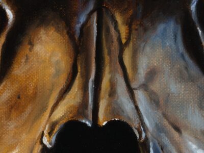 detail of oil sketch of skull textures and light