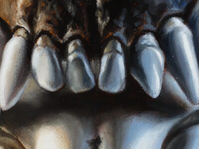 detail of oil sketch of teeth and canines