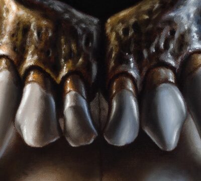 Detailed oil painting of animal skull upper teeth, realistic depiction of porous bone texture and shading on canvas.