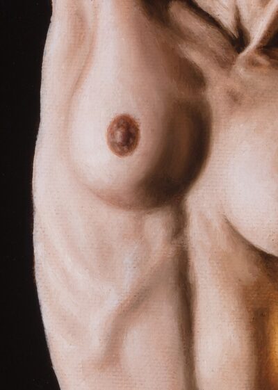Detailed anatomical study of a human torso in a classical oil painting style. Artistic depiction of the chest muscles and rib cage structure, focusing on the interplay of light and shadow on skin tones against a dark background.