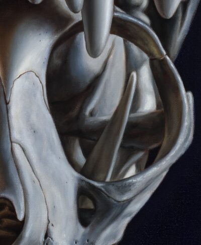 Detailed view of an oil painting of the inner skull structure and zygomatic bone, focusing on canvas texture and realistic shading.
