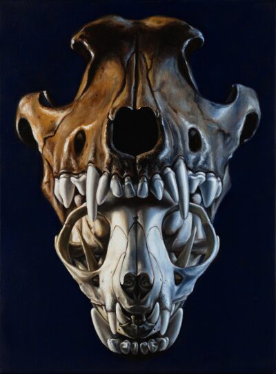 oil sketch of animal skulls on dark background