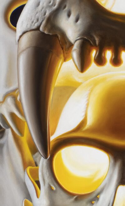 Oil painting close-up by Tomas Trman Rucker, capturing a tiger canine near a langur skull, highlighted by a radiant golden inner light.