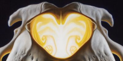 Macro detail of a tiger's nasal cavity in an oil painting by Tomas Trman Rucker, illuminated by an inner golden glow.